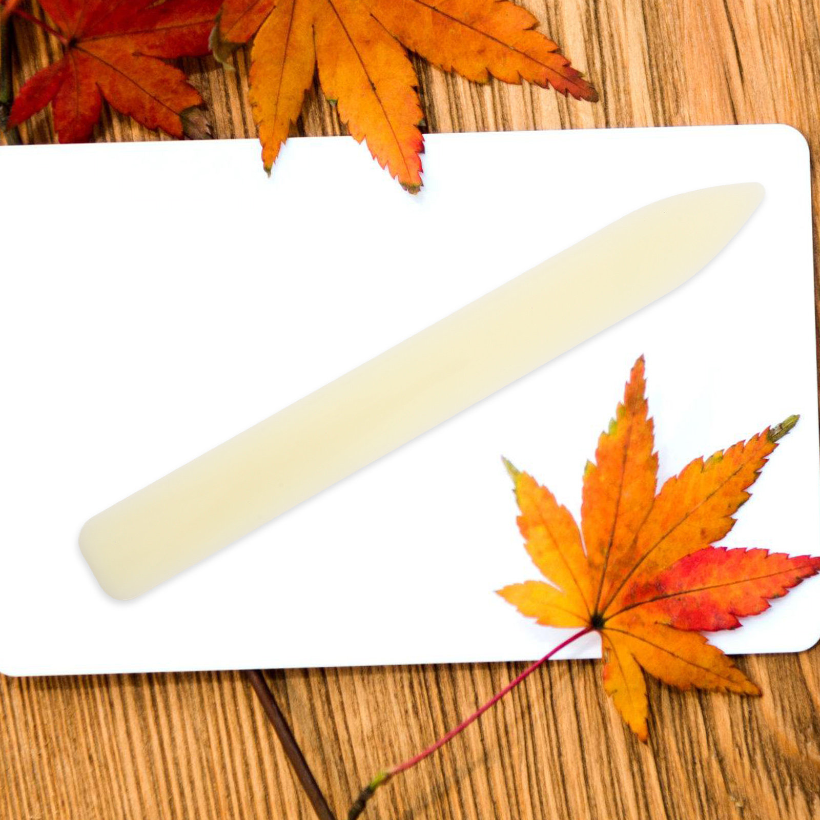 5 pezzi di piegatrici in plast - Bone Folder Tool recensione e prezzo